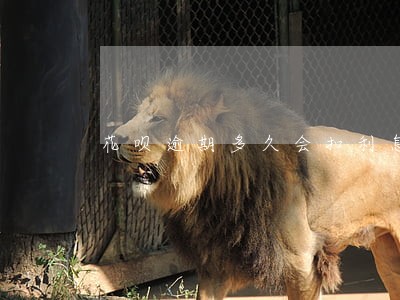花呗逾期多久会扣利息 花呗逾期多久会扣利息