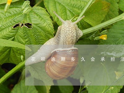 花呗逾期多久会承担法律责任 花呗逾期多久会承担法律责任