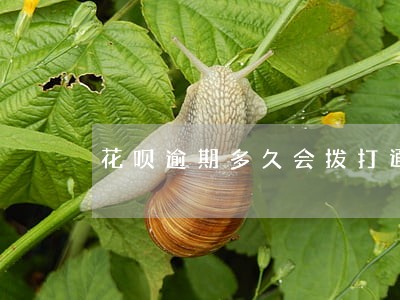 花呗逾期多久会拨打通讯录 花呗逾期多久会拨打通讯录