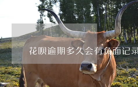 花呗逾期多久会有负面记录 花呗逾期多久会有负面记录
