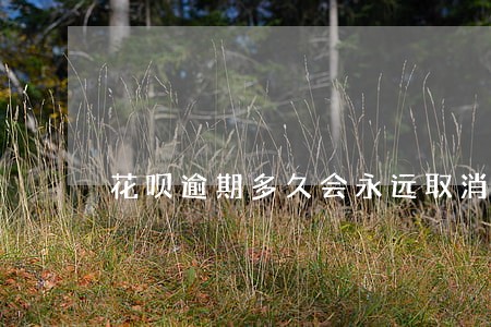 花呗逾期多久会永远取消使用资格 花呗逾期多久会永远取消使用资格