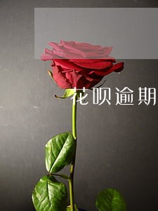 花呗逾期多久会爆家人 花呗逾期多久会爆家人