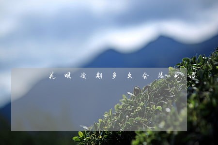 花呗逾期多久会爆电话 花呗逾期多久会爆电话