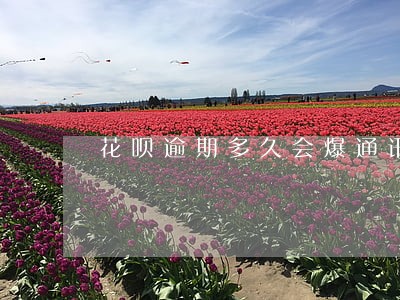 花呗逾期多久会爆通讯录 花呗逾期多久会爆通讯录