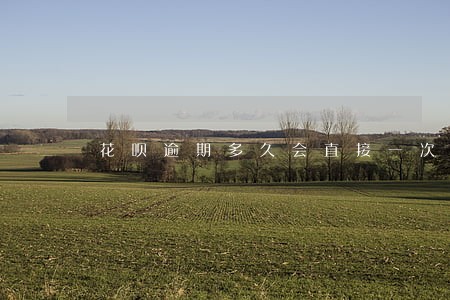 花呗逾期多久会直接一次性还清 花呗逾期多久会直接一次性还清