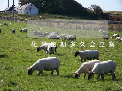 花呗逾期多久会立案 花呗逾期多久会立案