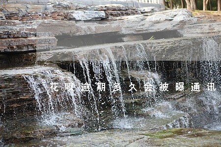 花呗逾期多久会被曝通讯录 花呗逾期多久会被曝通讯录