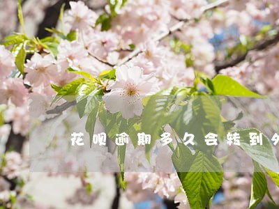花呗逾期多久会转到外包公司催债 花呗逾期多久会转到外包公司催债