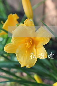 花呗逾期多久会通知户藉所在地 花呗逾期多久会通知户藉所在地