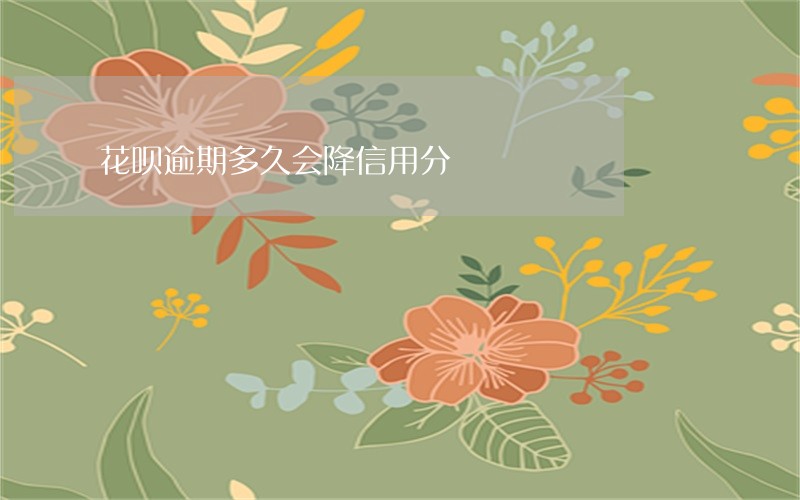 花呗逾期多久会降信用分 花呗逾期多久会降信用分
