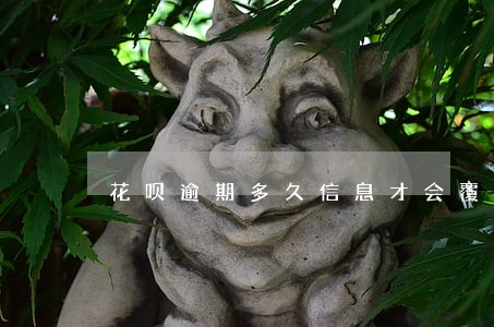 花呗逾期多久信息才会覆盖 花呗逾期多久信息才会覆盖
