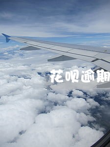 花呗逾期多久催收会上门