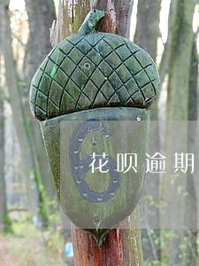 花呗逾期多久催款 花呗逾期多久催款