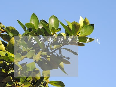 花呗逾期多久关闭 花呗逾期多久关闭