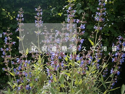 花呗逾期多久关闭算永久