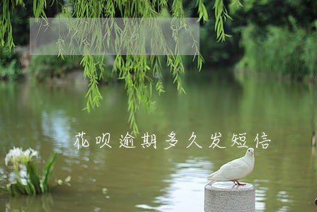 花呗逾期多久发短信 花呗逾期多久发短信