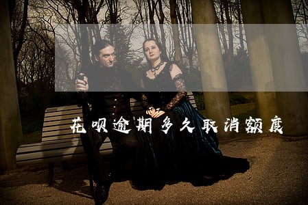 花呗逾期多久取消额度 花呗逾期多久取消额度