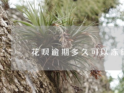 花呗逾期多久可以冻结 花呗逾期多久可以冻结