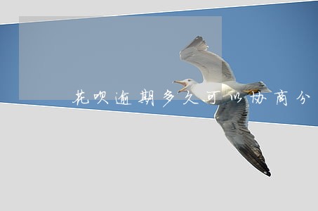 花呗逾期多久可以协商分期 花呗逾期多久可以协商分期