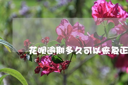 花呗逾期多久可以恢复正常使用 花呗逾期多久可以恢复正常使用