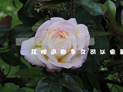 花呗逾期多久可以恢复芝麻分 花呗逾期多久可以恢复芝麻分