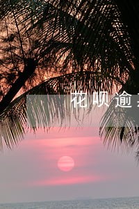 花呗逾期多久可以申请分期