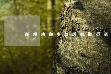 花呗逾期多久后会联系亲朋好友 花呗逾期多久后会联系亲朋好友