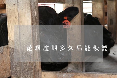 花呗逾期多久后能恢复 花呗逾期多久后能恢复