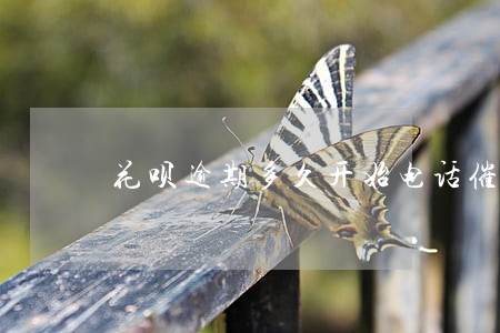 花呗逾期多久开始电话催收 花呗逾期多久开始电话催收