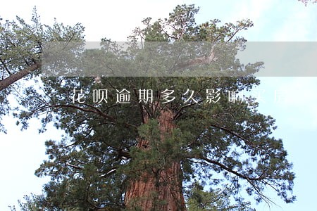 花呗逾期多久影响买房 花呗逾期多久影响买房