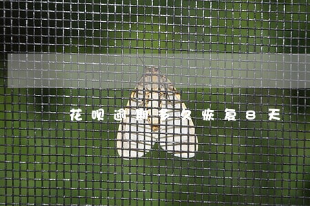 花呗逾期多久恢复8天