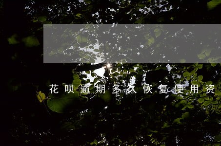 花呗逾期多久恢复使用资格 花呗逾期多久恢复使用资格