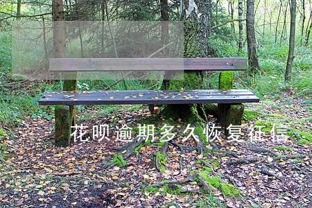 花呗逾期多久恢复征信