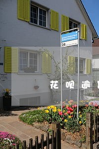 花呗逾期多久才会全款 花呗逾期多久才会全款