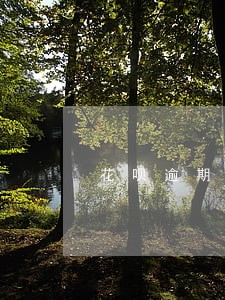 花呗逾期多久才会有短信
