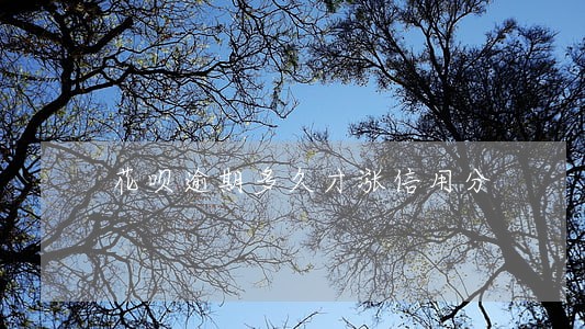 花呗逾期多久才涨信用分 花呗逾期多久才涨信用分