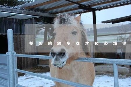 花呗逾期多久才知道冻结 花呗逾期多久才知道冻结