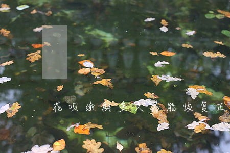 花呗逾期多久才能恢复正常使用 花呗逾期多久才能恢复正常使用