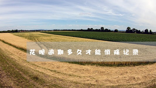花呗逾期多久才能消除记录 花呗逾期多久才能消除记录