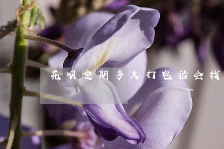花呗逾期多久打电话会找你 花呗逾期多久打电话会找你