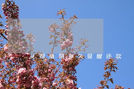 花呗逾期多久提醒还款 花呗逾期多久提醒还款