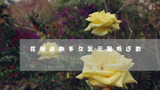 花呗逾期多久显示最低还款 花呗逾期多久显示最低还款