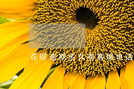 花呗逾期多久有客服电话 花呗逾期多久有客服电话