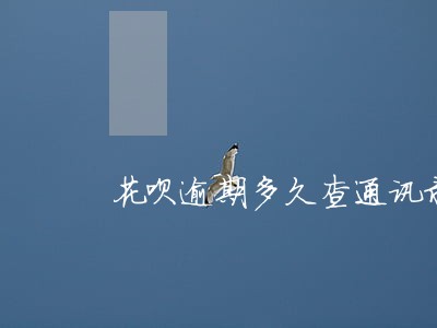 花呗逾期多久查通讯录