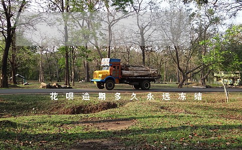 花呗逾期多久永远冻结 花呗逾期多久永远冻结