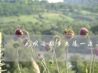 花呗逾期多久爆一次通讯录 花呗逾期多久爆一次通讯录