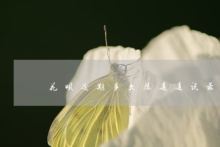 花呗逾期多久爆通通讯录 花呗逾期多久爆通通讯录