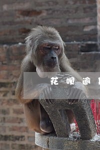 花呗逾期多久短信提醒 花呗逾期多久短信提醒