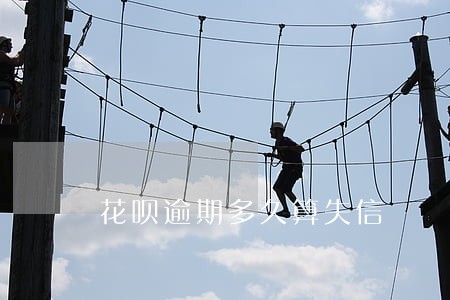 花呗逾期多久算失信 花呗逾期多久算失信