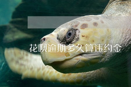 花呗逾期多久算违约金 花呗逾期多久算违约金